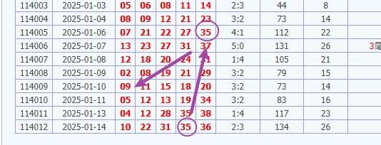 娛樂城 539預測 版路推算 牌支分享 539版路 解夢 20250115