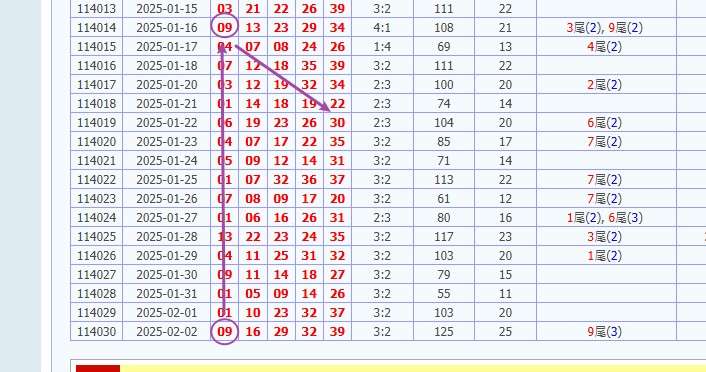 娛樂城 539預測 版路推算 牌支分享 539版路 解夢 20250203